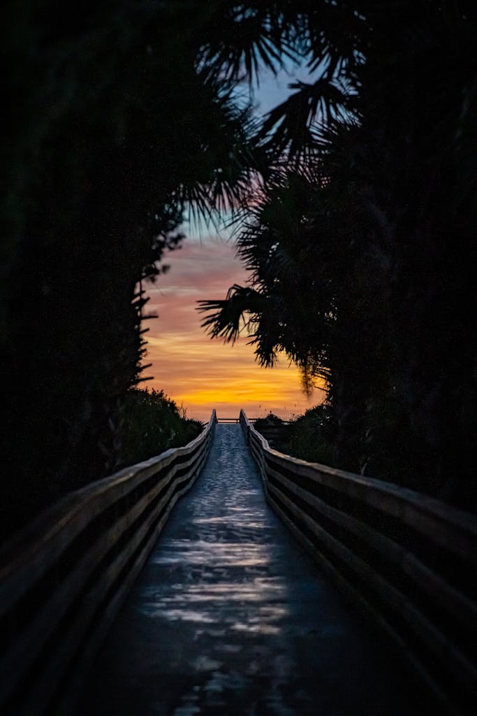 A tranquil boardwalk at sunset, framed by palm silhouettes in New Smyrna Beach, FL.